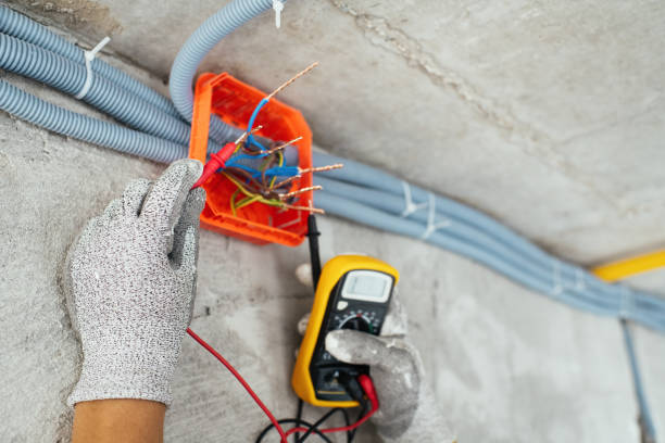 Best Ceiling Fan Installation Electrician  in Decatur, MI